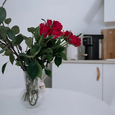 Dom W Gorach * Закопане