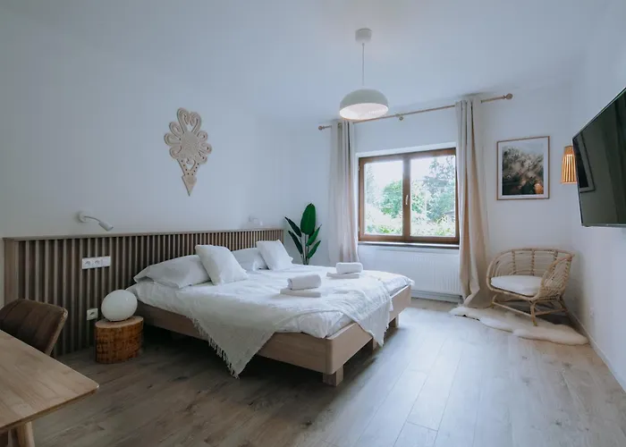 Dom W Gorach Διαμέρισμα Ζακοπάνε